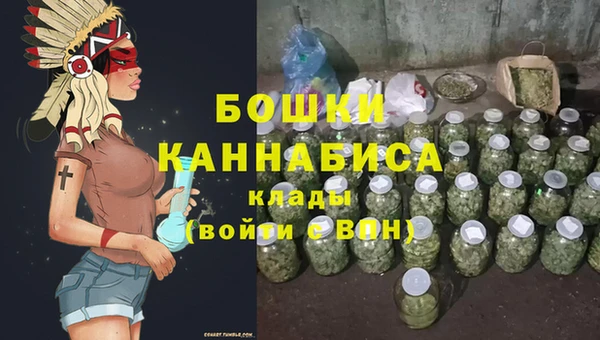 стаф Белокуриха