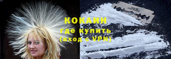 стаф Белокуриха