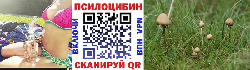 Галлюциногенные грибы прущие грибы  купить наркотики сайты  Бородино 